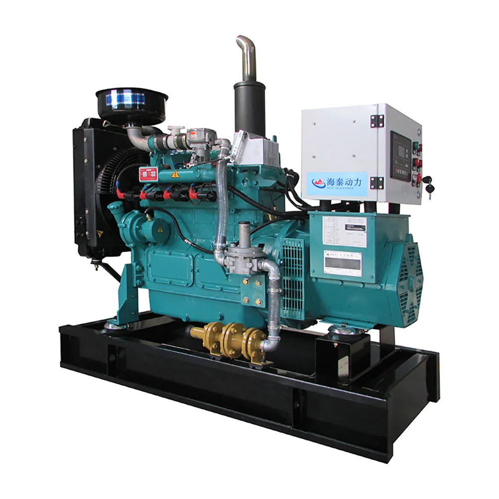 Factory price cheap small biomass gasifier wood steam power generator