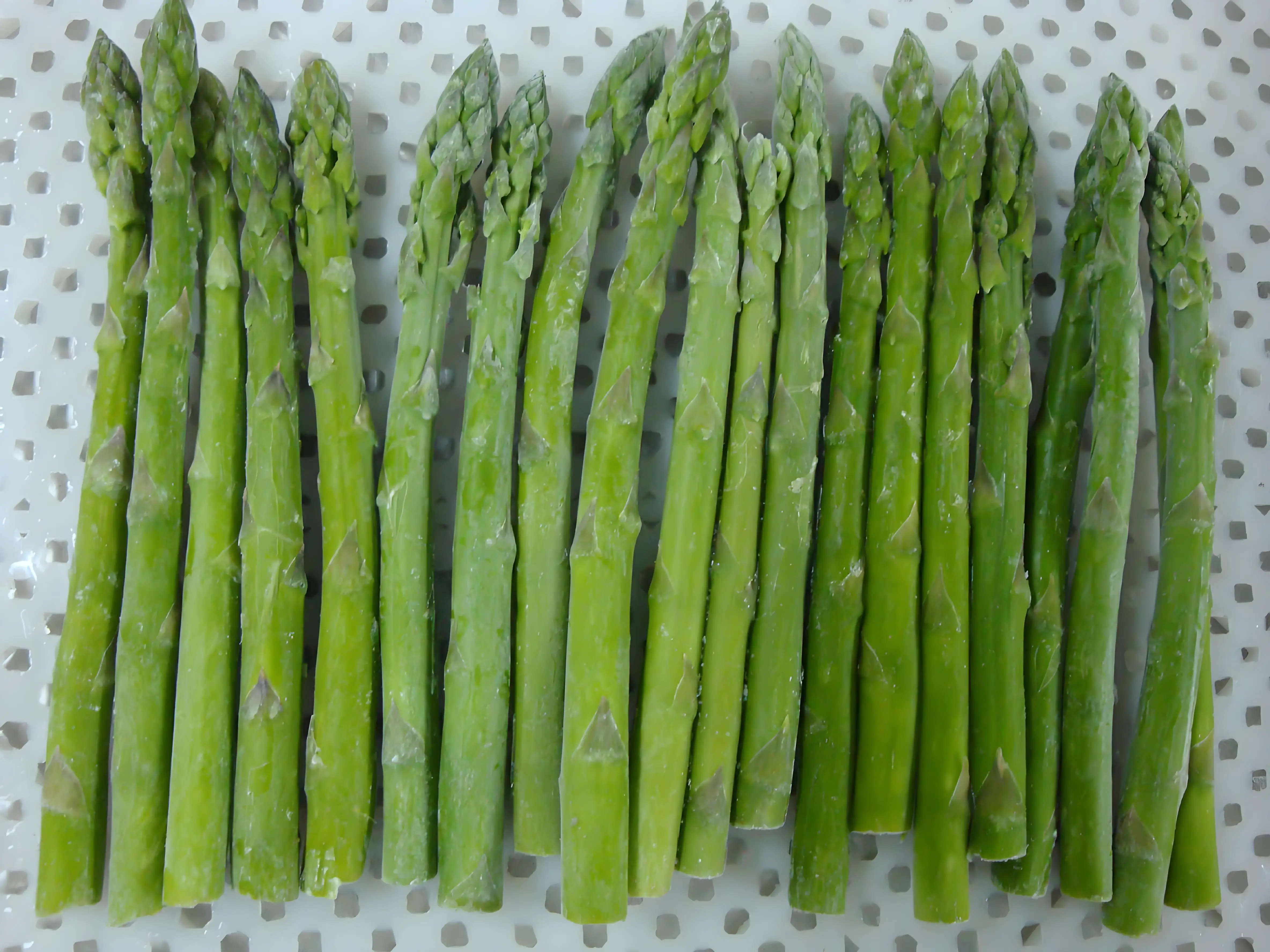 China High Quality Fresh Vegetables Frozen Asparagus Price