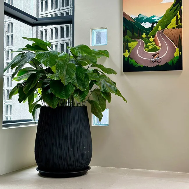 Factory Price PC1247-17034 Fiberglass Pot	Medium Large Size Flower Pot For Green Plant