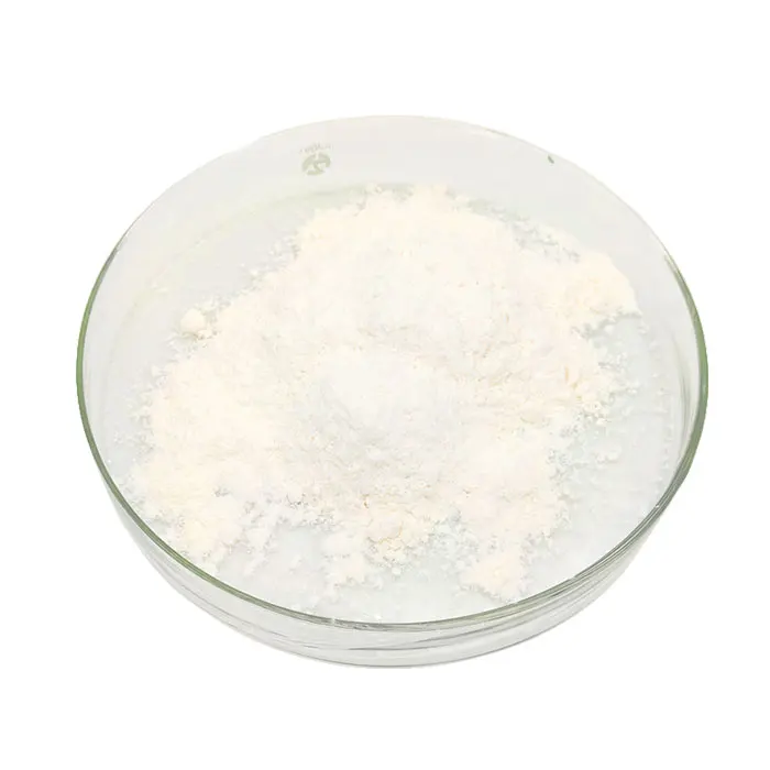 Organic intermediate CAS No. 94-36-0 Benzoyl Peroxide BPO 50% POWDER C14H10O4 Dibenzoyl peroxide