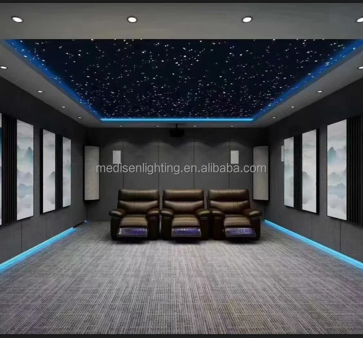 Star Panel Ceiling Lights for Home Ceiling Fibre Optic Ceiling Light Panel Kit with DIY Pattern