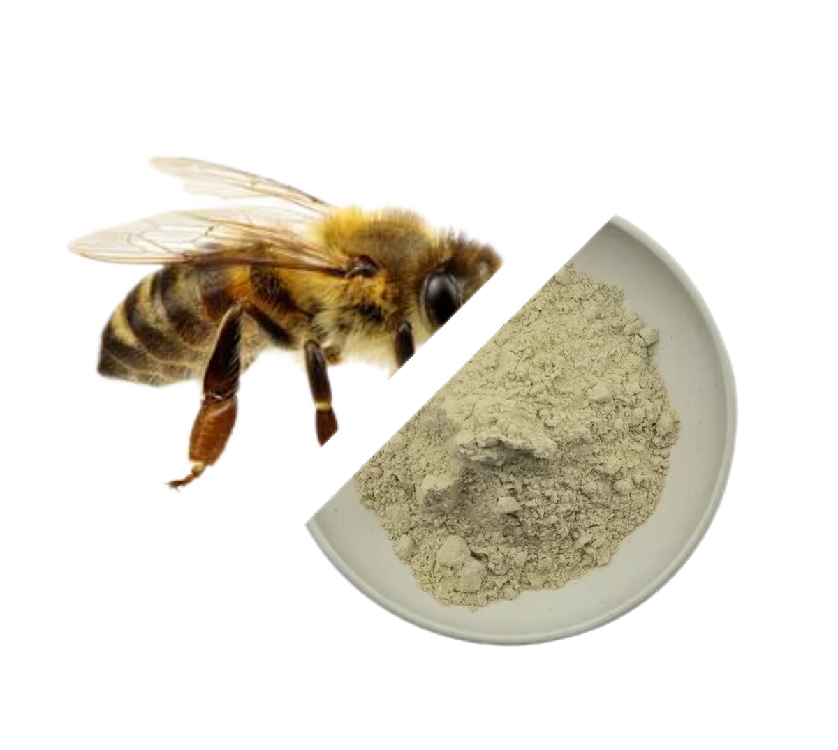 Natural Pure Bee Venom Extract Melittin 99% Powder Price Bee Venom Powder Apitoxin For Sale