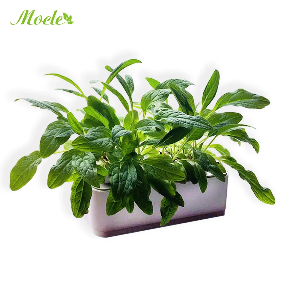 RY Mocle Smart Garden lazy flower pots outdoor garden self watering hydroponics vertical hydroponic growing systems