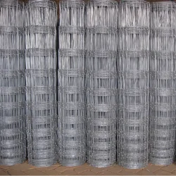 Wholesale Hot Dipped Galvanized Welded Wire Mesh Roll For Cattle Fence
