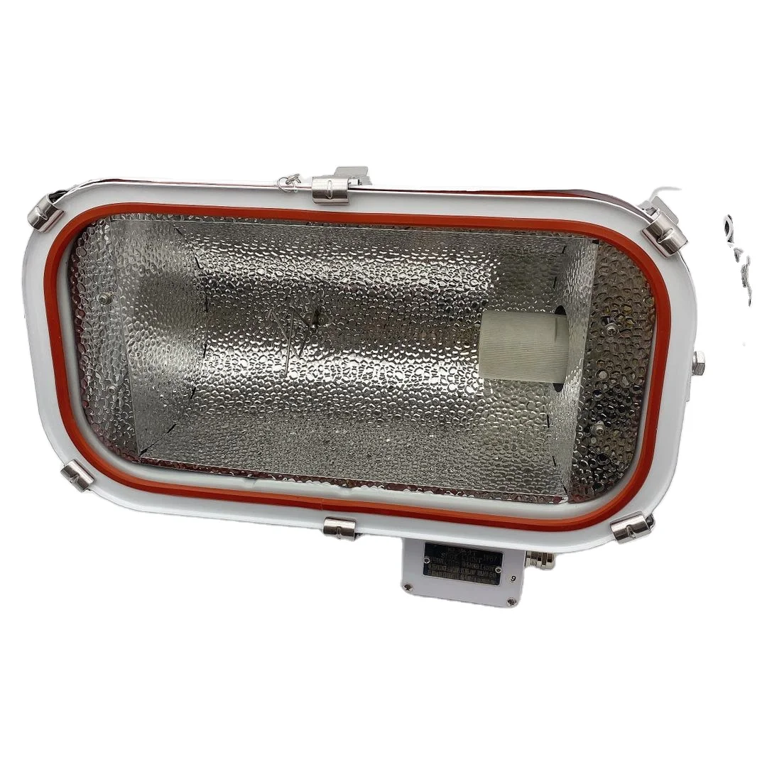 Tempered glass lamp shade stainless steel high waterproof ship dock harbor marine floodlight      TG4