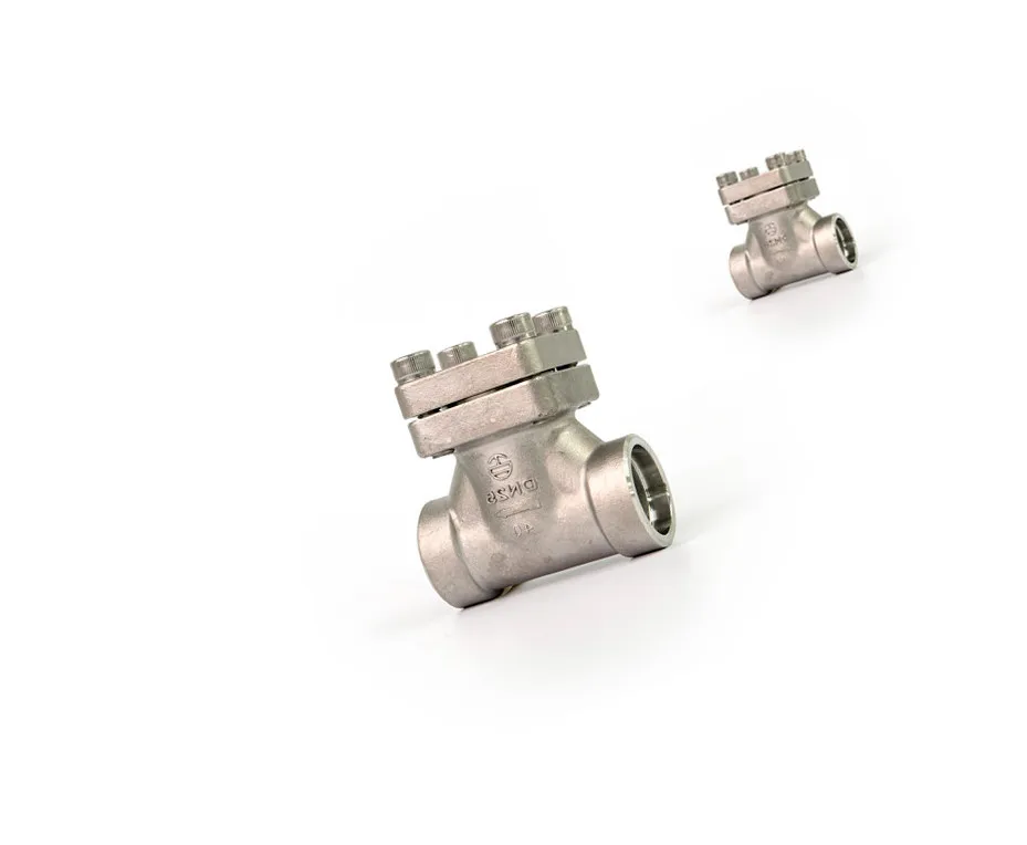 DGF-10A-50A  Cryogenic check valve with filter mesh filter assy