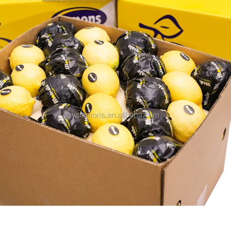 Wholesale Eureka Fresh Organic Lemon Glass Grade B High Quality Citrus Fruits