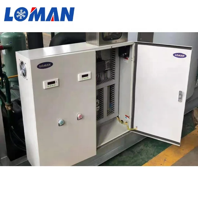 Loman Industrial snow Ice Making Machine With ice bin  Freshwater 1 tons Flake Ice Maker Machine For Fish