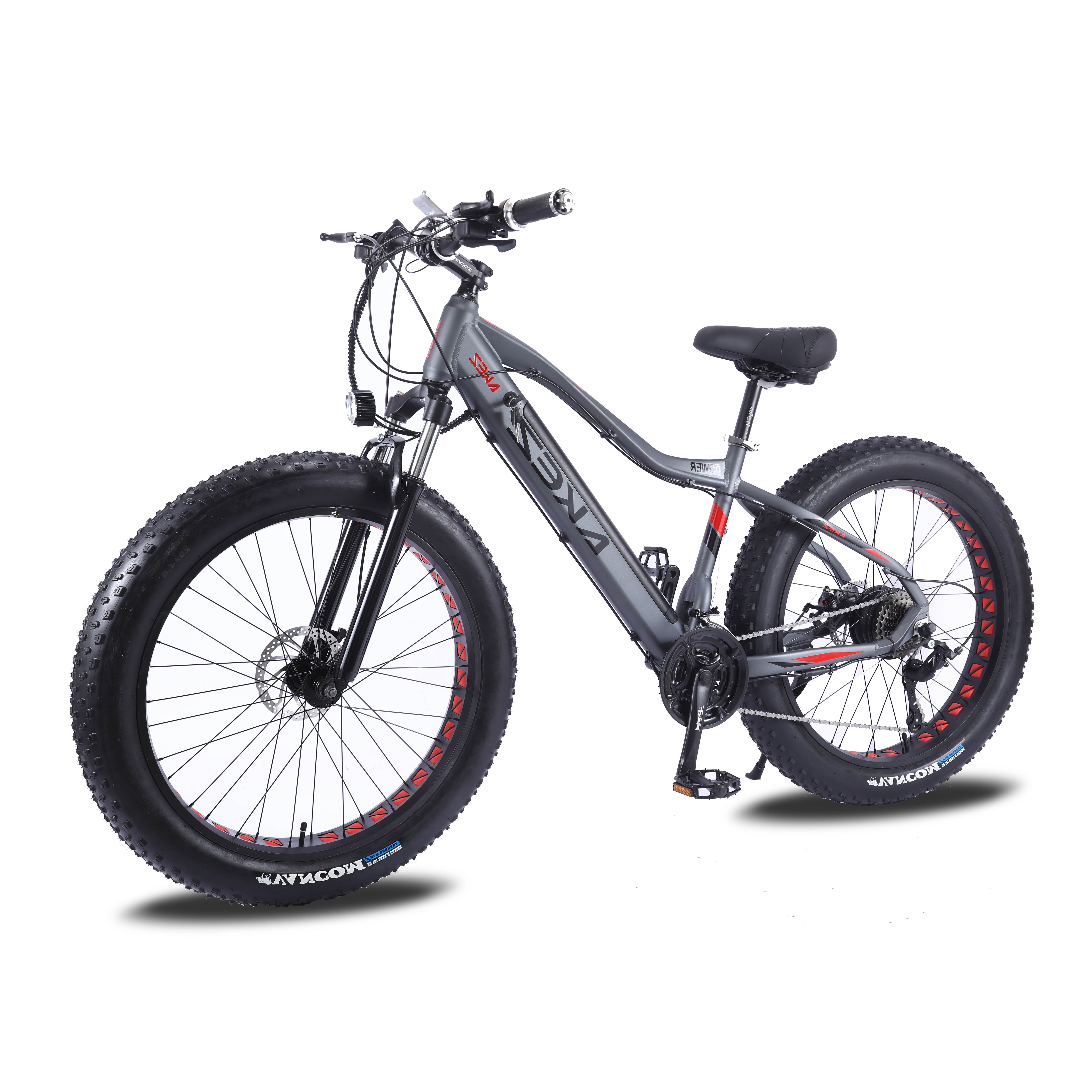  Ebike 1000 Вт на заказ ebike Скрытая батарея толстый Электрический велосипед 750 пляж горный жир