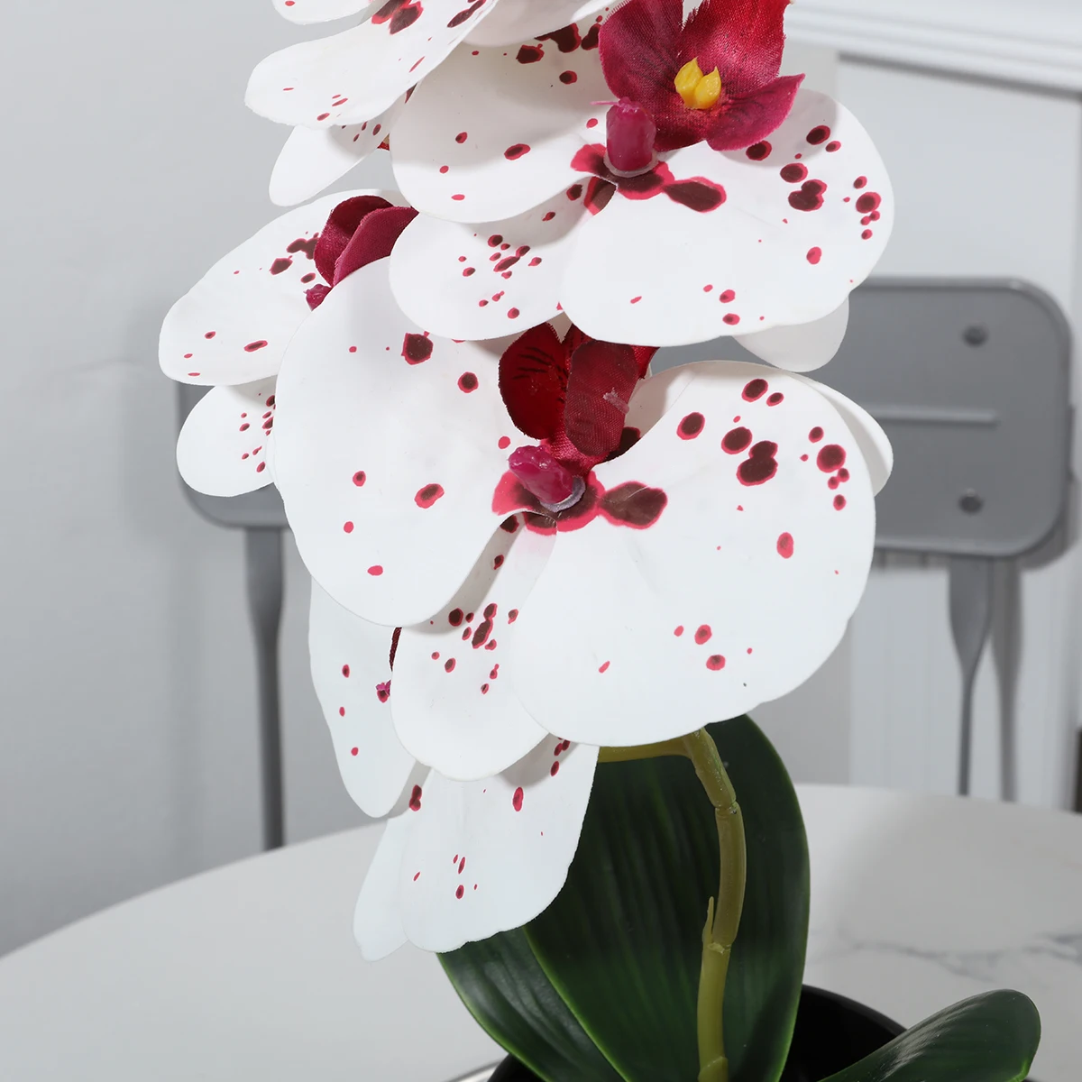 YX230316-5P Wholesale Real Touch Artificial Five Headed Phalaenopsis with Leaves Decorations For Home
