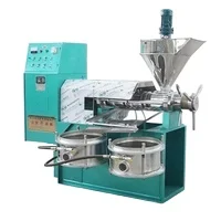 Automatic Crazy Selling Oil Pressers Hot And Cold Pressing Machine Hemp Seed Oil Press Machine For Sale