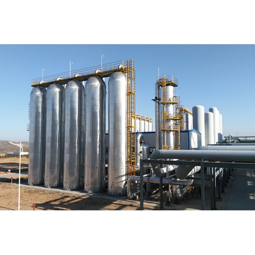 On-Site Biogas Purification Machinery 0.95 Long Lifespan PSA Farm Biogas Digester System for Home