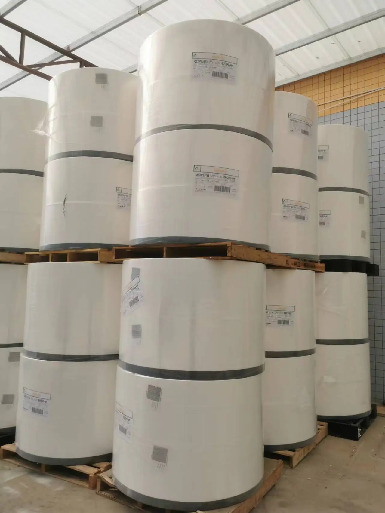 golden Isles untreated fluff pulp for diaper and sanitary napkins wood pulp disposible nappy raw material domta IP Westrock