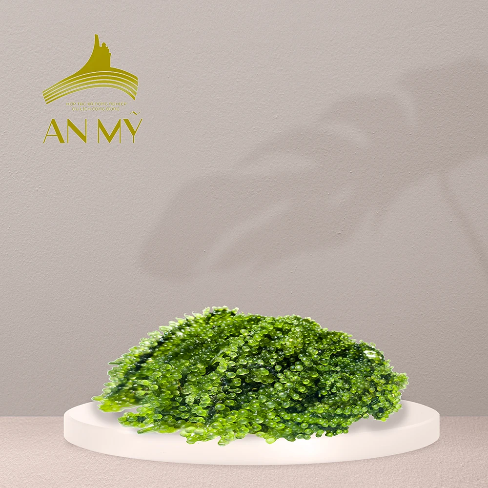 100% Natural Seaweed High Standard Organic Dried Seasoned Sea Grapes Healthy Food from Vietnam