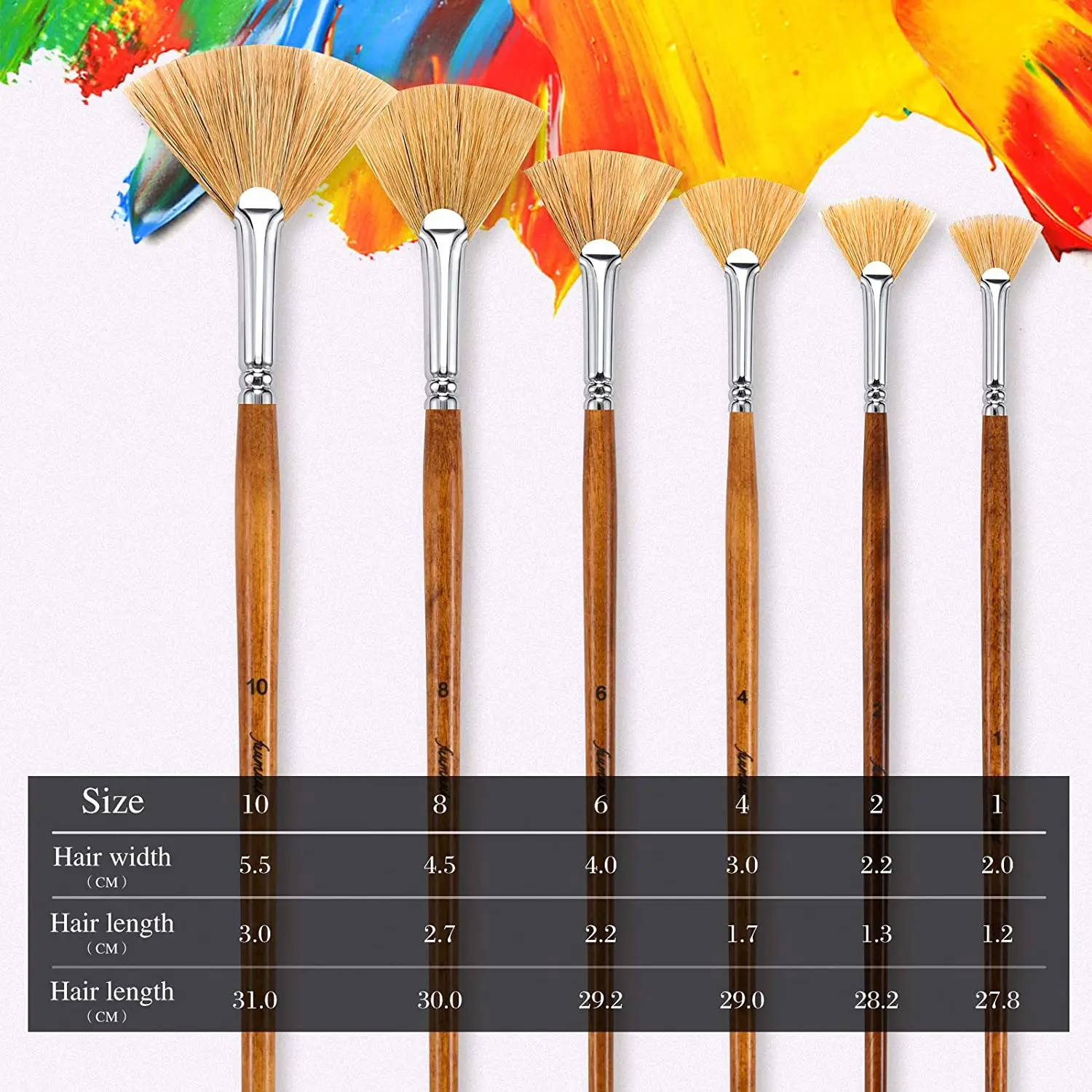 Fuumuui Fan Brush Set - Stiff Hog Bristles Natural Hair Profession Artist Oil Painting Brushes of 6pcs