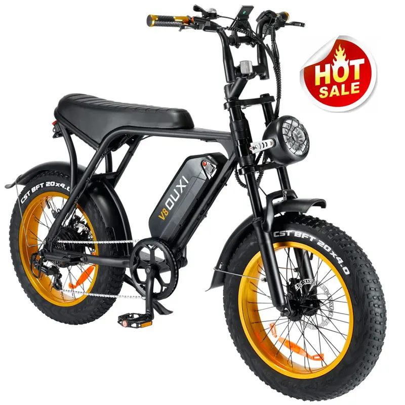 1000W Electric Bike for Adults us warehouse ebike 750 watt electric bike fat tire Step-Thru electric bike