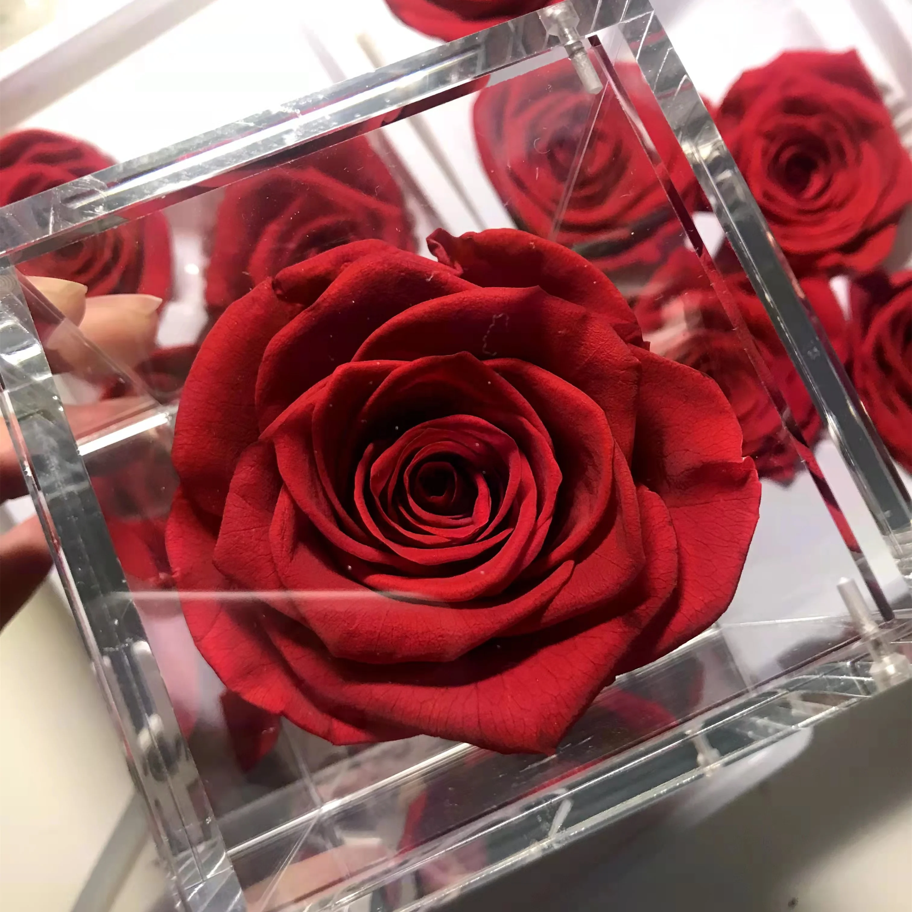 Customized Logo Decoration Flower Acrylic Box Diy Everlasting Natural Forever Long Lasting Immortal Preserved Roses Flower