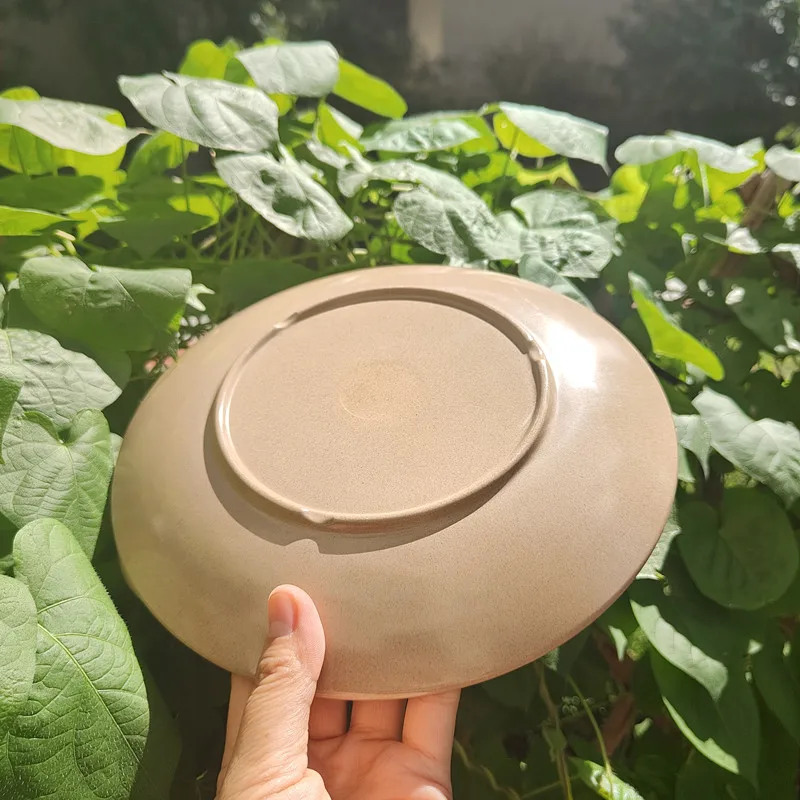 Hot selling eco-friendly biodegradable rice husk dinner plates