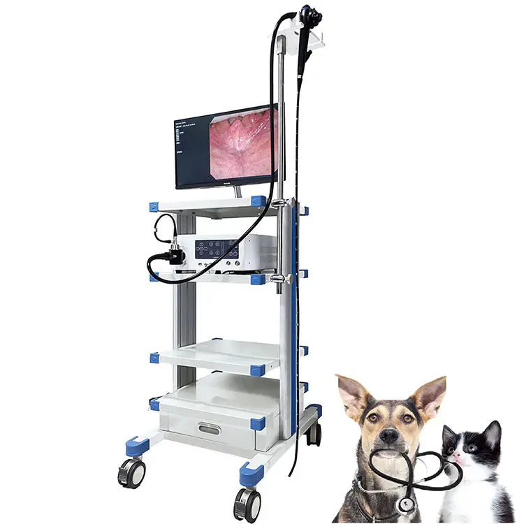 IN-PV8600 Hd Endoscopic Ent Veterinary Instrument Ear Endoscope Camera Endoscopy Laparoscopy Laryngoscope Tower