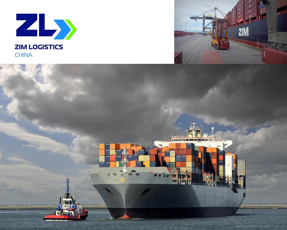 10-12 Working Days From Shanghai Ningbo Yantian Qingdao Xiamen To Bastia France China Cheap Sea Shipping Rates Service
