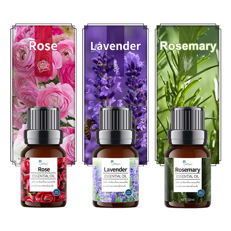 
Aromatherapy Diffuser Essential Oil 3 10ml Set OEM Bottle Air Plastic Feature Liquid Origin Type perfume oil Supply ODM 