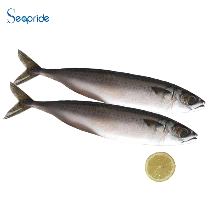 Bulk Frozen Pacific Mackerel Fish For China Wholesale