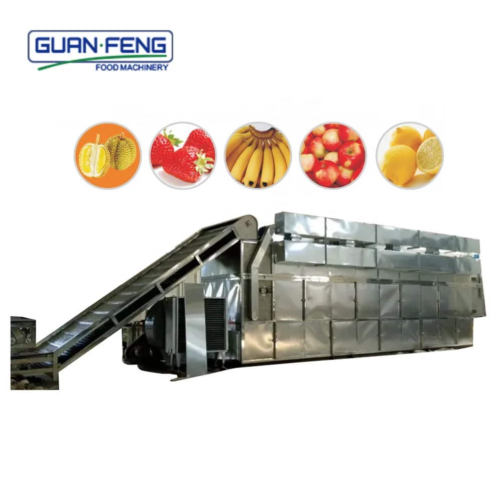 Belt Dryer grape dehydration machine raisin production line