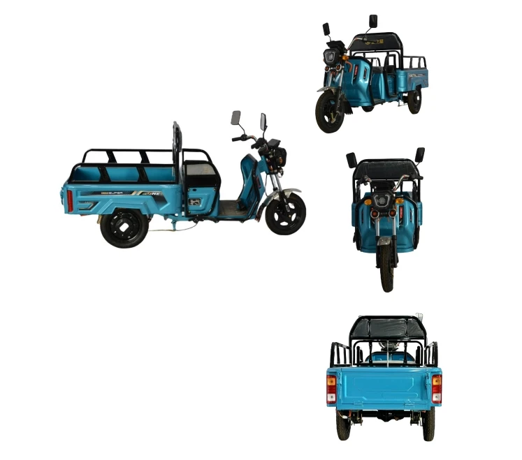 2024 Hot Selling China Factory Electric Cargo Tricycle  Electric Vending Cart   For Three Wheel