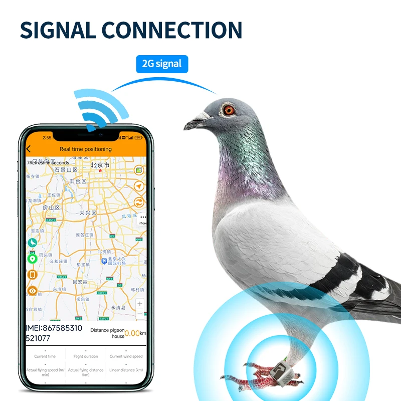 AHGUEP Brand Smart GPS 4G Network Animal Tracking Ring Tag LF HF RFID Efficient Chicken/Pigeon Management IP67 Factory Price