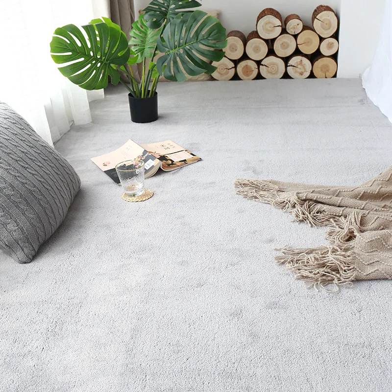 Solid Color Carpets and Rugs Living Room Nordic Cashmere Microfiber Rug Absorbent Fluffy Rugs
