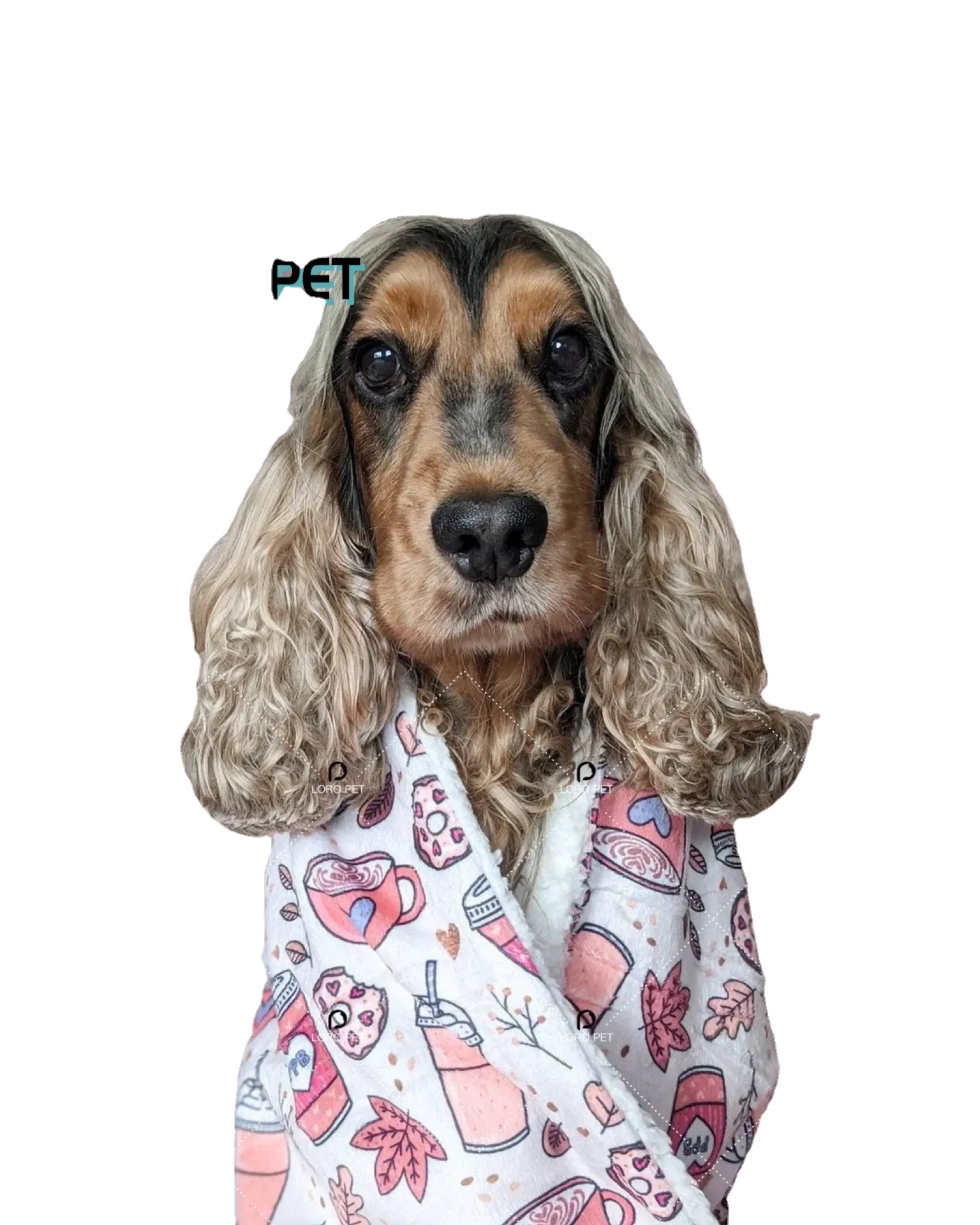 Flourish Waterproof Pet Blankets Soft Plush Throw Protects Couch Chairs Car Bed Machine Washable dog blanket pet blanket