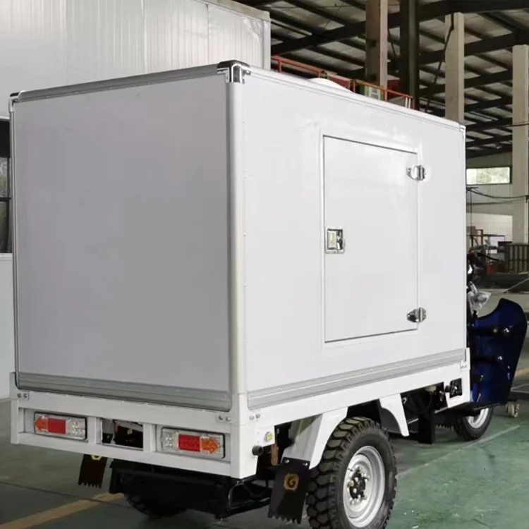 China Manufacturer Hot Sale Refrigerated Motorcycle Tricycle With Frozen Cabin for Refrigerated Cargo Delivery