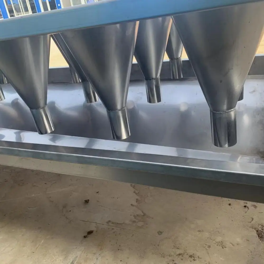 
chicken killing bleeding cone in slaughterhouse 