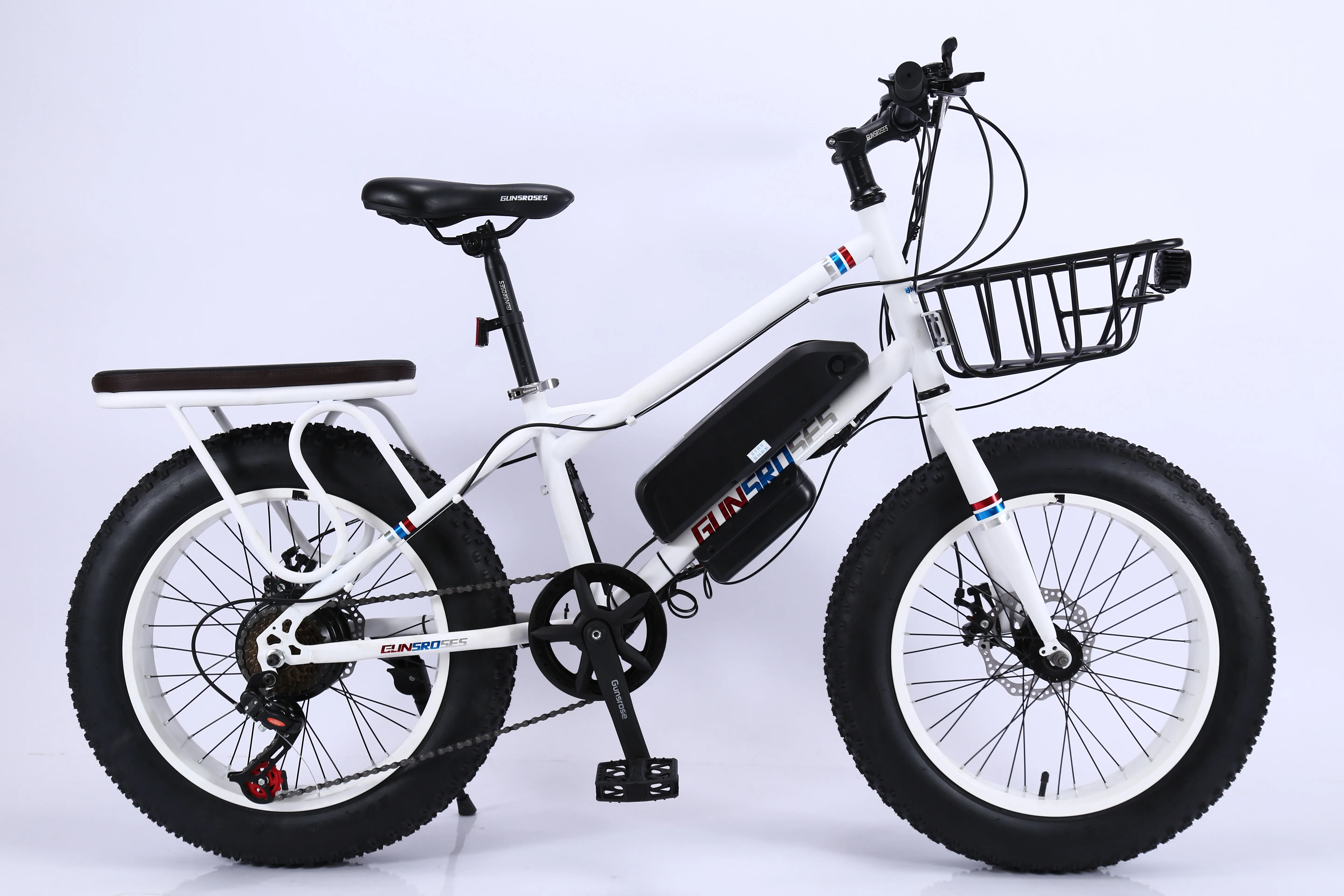 Custom Snow Bike Ebike Mid Drive Electric Bike 20 Inch Electric Bicycle Fat Tire Mtb Mountain Bike