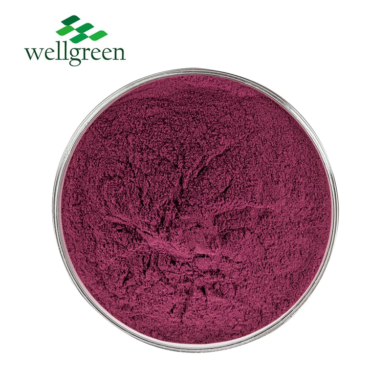 Wellgreen Natural Red Pigment Water Soluble Purple Sweet Potato  Color E60 Powder