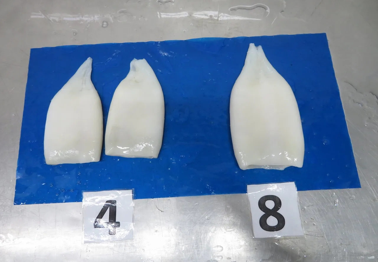 ningbo inspection service promotional products