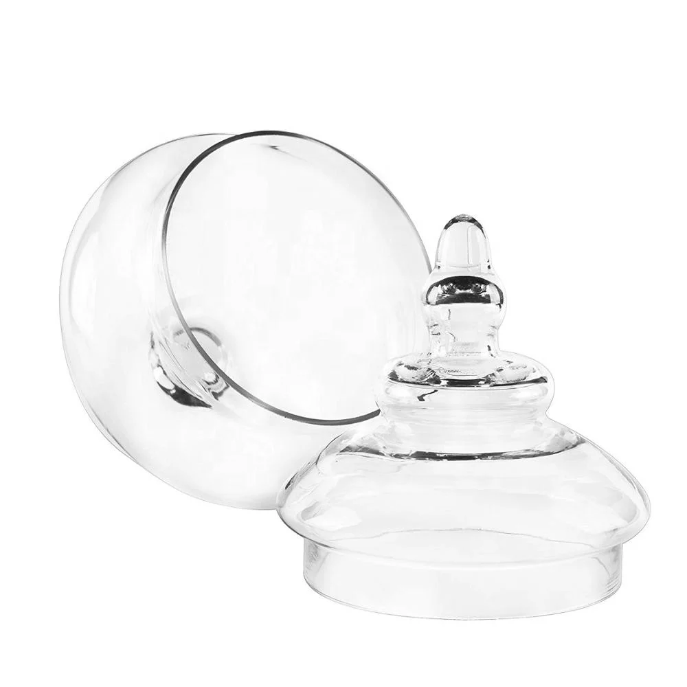 glass pedestal Apothecary jar Candy Buffet Display Storage Plant Terrarium Jars