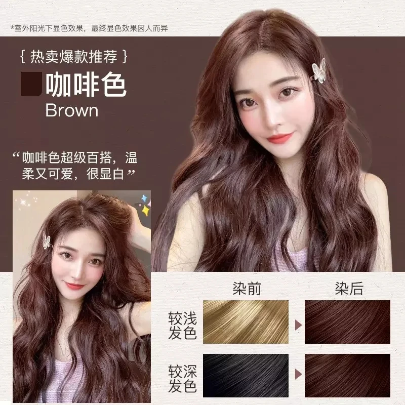 Wholesale Natu-ral Black Hair Dye Shampoo For Women Multiple Colour Brand Herbal Care Hair Dye