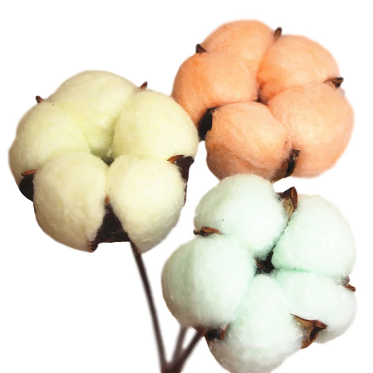 Handmade 40 cm Beautiful Dry Flower Cotton with Stem for Household Flower Arrangement Elegant Bouquet Flower Wrapping