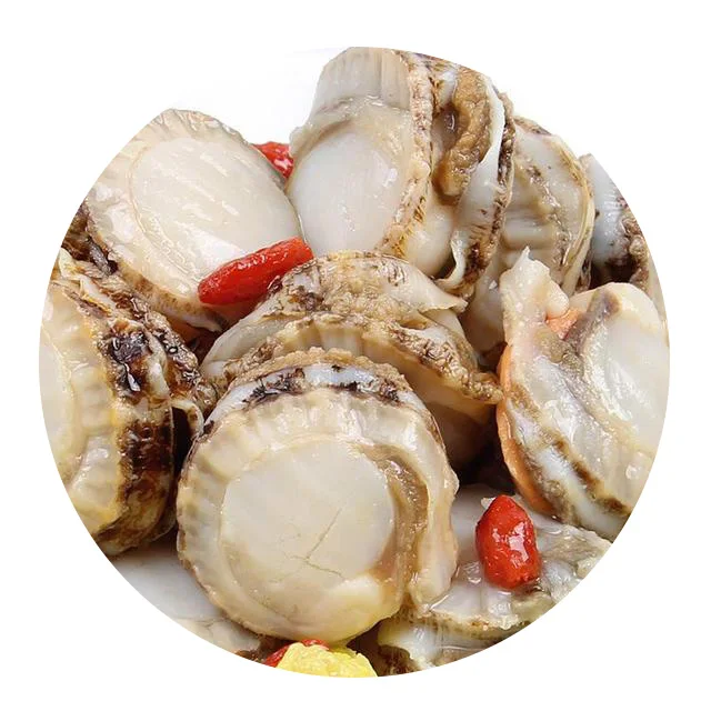 New Season Frozen Quality Frozen Scallop Meat