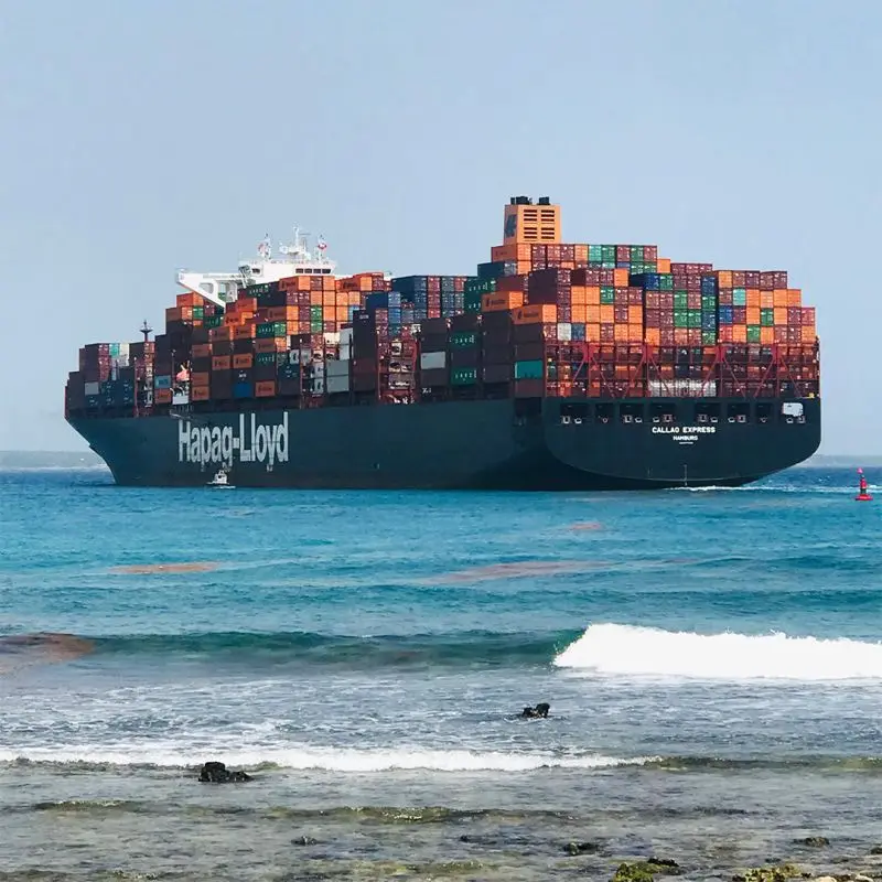 Sea freight FCL 20FT 40HC Full container freight forwarder Form China To Egypt SOKHNA Logistics shipping agent