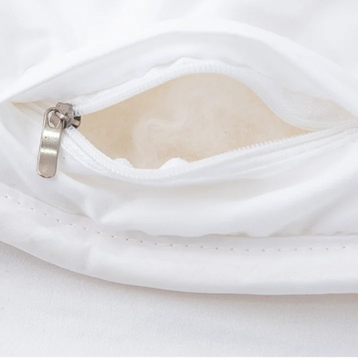 Luxury Wholesale Five Star Hotel 95% White Goose Down Quilt