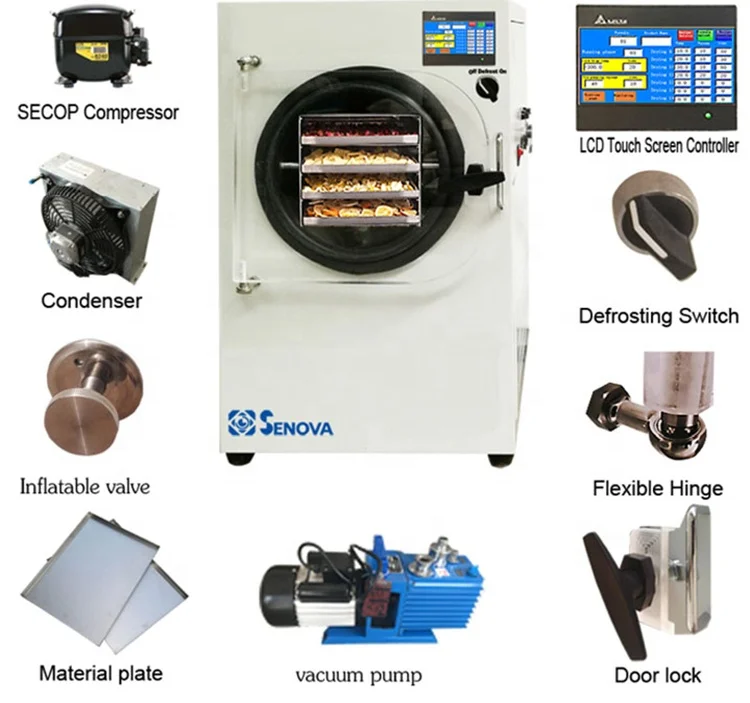CE 4Kg 5kg 6Kg Mini Small Lab Pharma Freeze Drying Vacuum Liofilizador