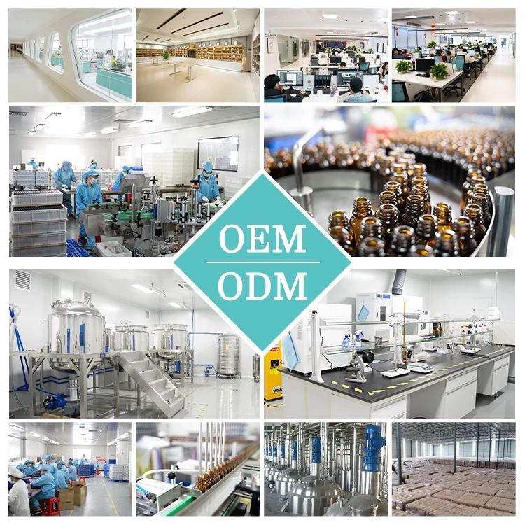 Private Label Essential Oils Gift Set 100% Pure Natural Organic Lavender Eucalyptus Aromatherapy Essential Oil