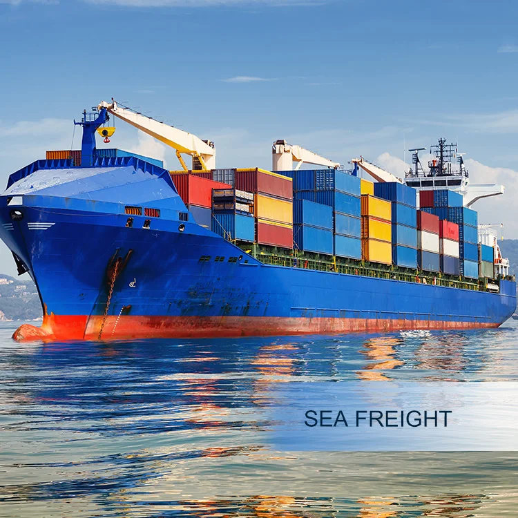 International Shenzhen Freight Forwarder Door To Door Air Cargo Shipping Courier China To Australia