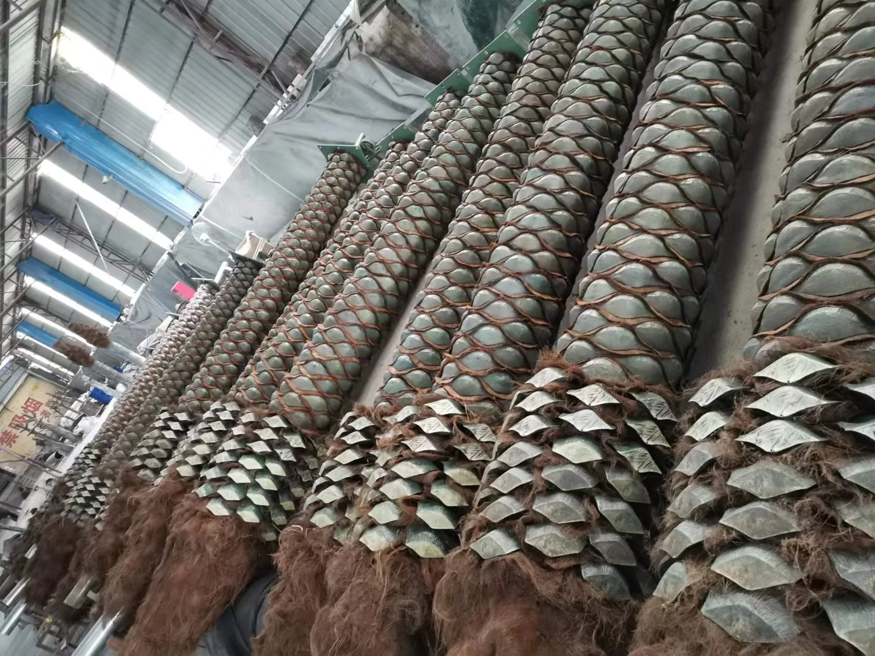Outdoor Plastic Wholesale Date Palm Tree Large Decorative for Landscaping