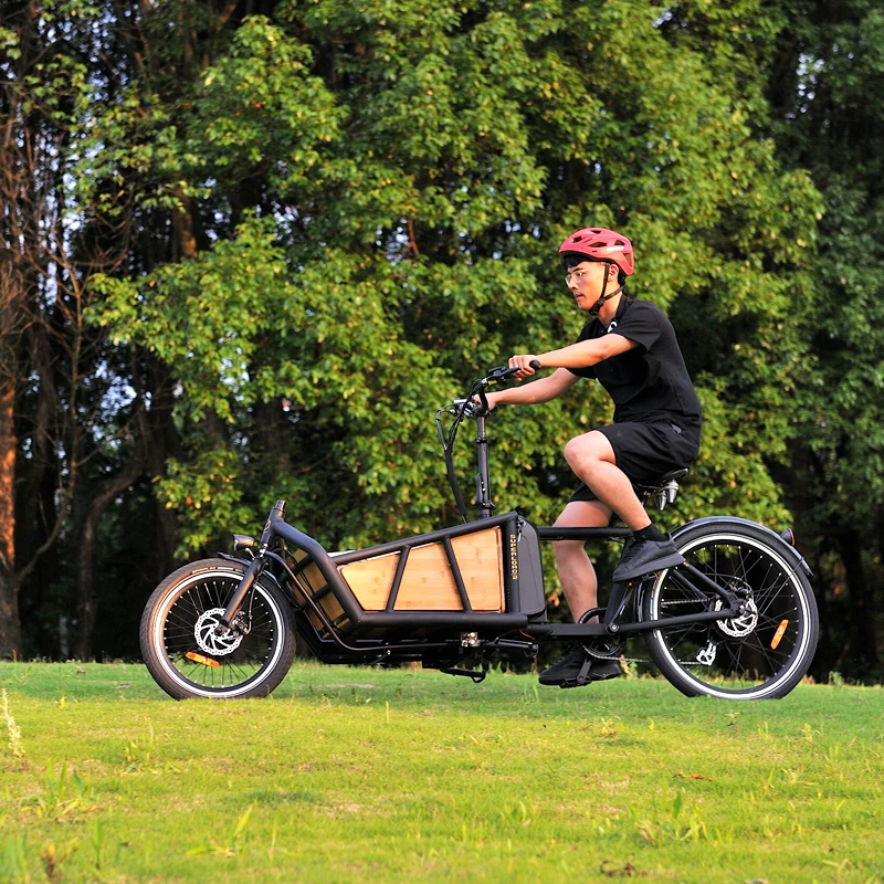 factory price family cheap price front loading 3 wheel electric bike cargo trailer bicycle for sale