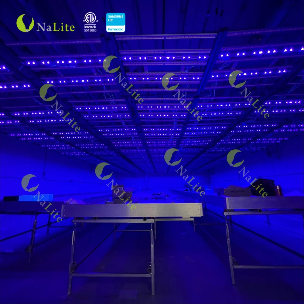 Nalite newest knob dimming rj14 group control  650w high power 1000w full spectrum grow light uv single bar alibabaselect