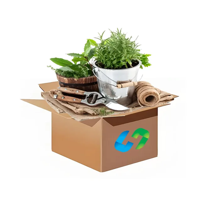 Shipping Agent Forwarder by Sea/Air From China to USA Air Low Cost Shenzhen Freight Forward Agents