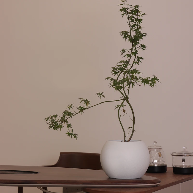 High Quality Pp Plastic Round Flowerpot 5 Sizes Lightweight Basin Nursery White Flower Pots & Planters Balcony For Succulents